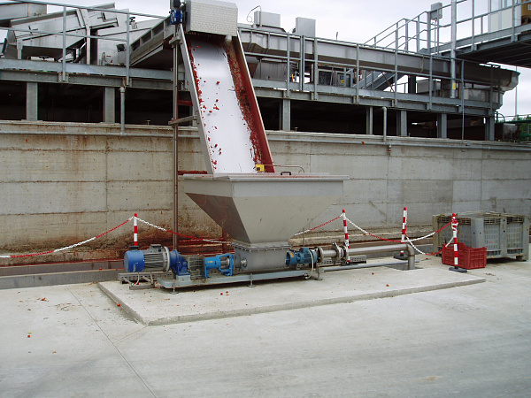 Винтовой насос CSF Inox с бункером